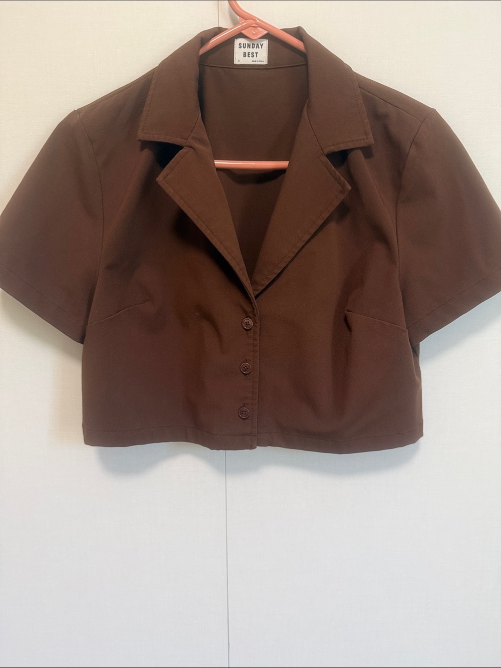 Sunday Best Cropped Button-Front Collared Top in Brown